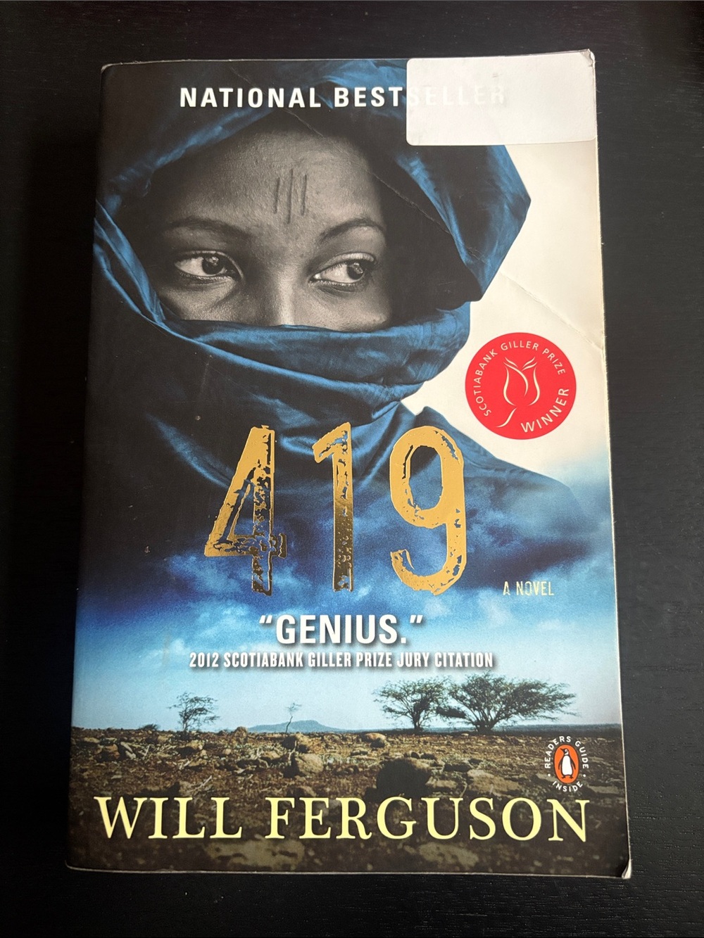 419 by Will Ferguson - Paperback